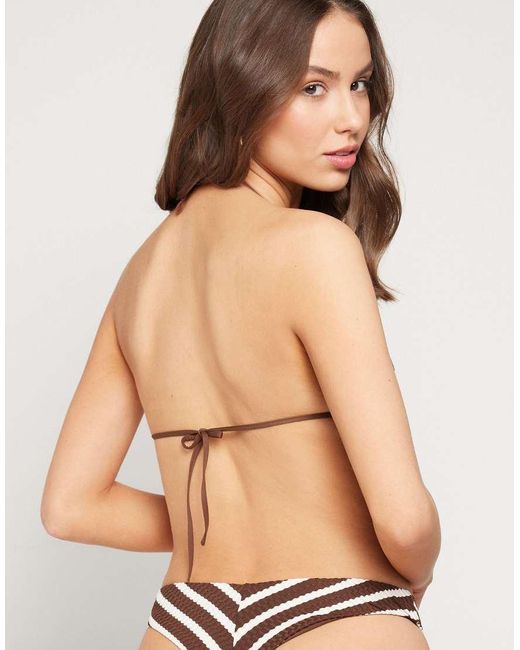 Tezenis Natural Desert Stripes Triangle Bikini Top