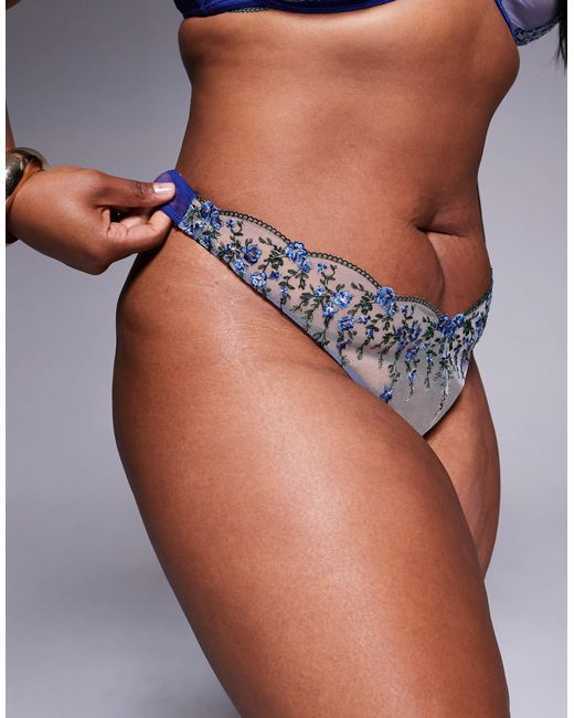 ASOS Blue Asos Design Curve Noa Premium Embroidery Thong