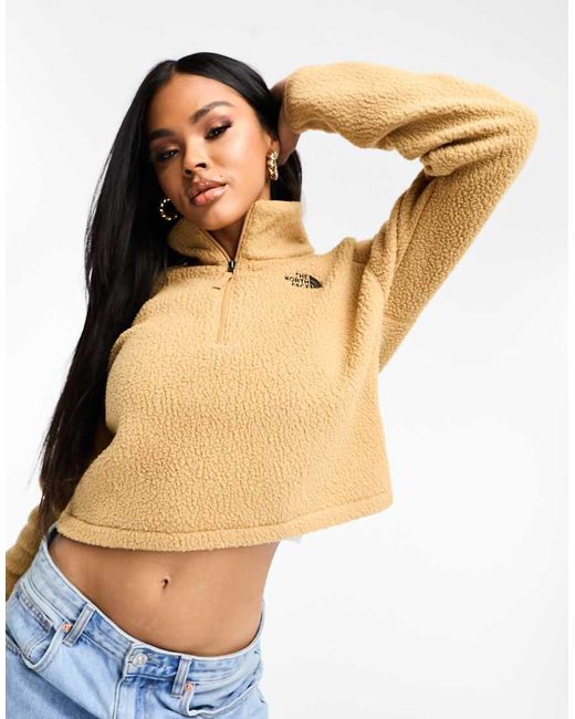 The North Face Natural Cropped High Pile 1/4 Zip Fleece