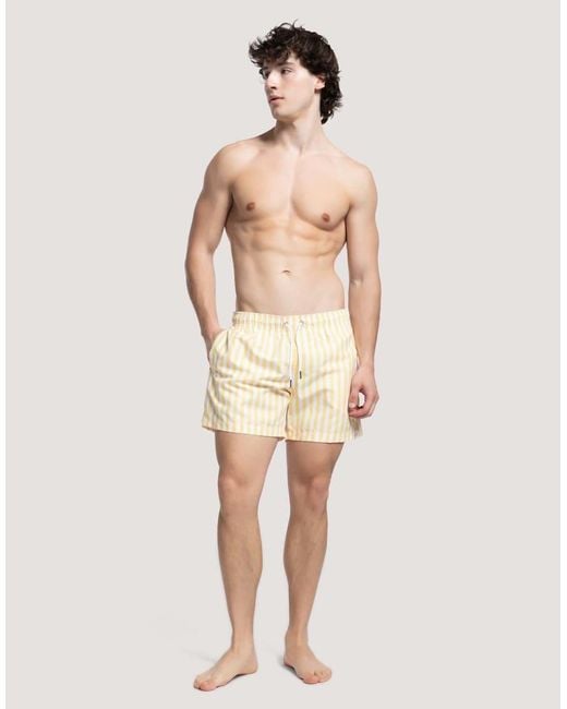 Apreslife Natural Stripe Swim Shorts for men