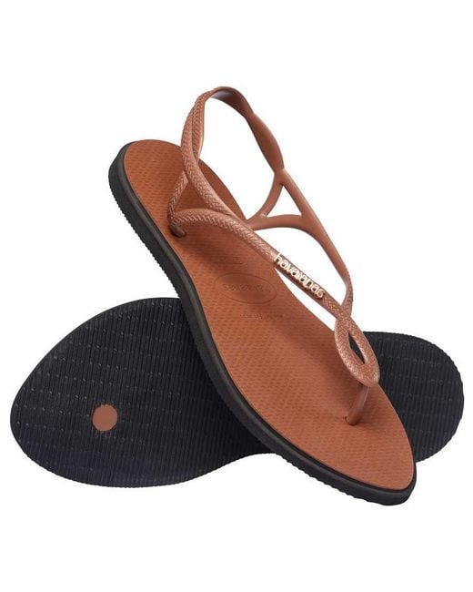 Havaianas Brown Luna Point Flip Flops
