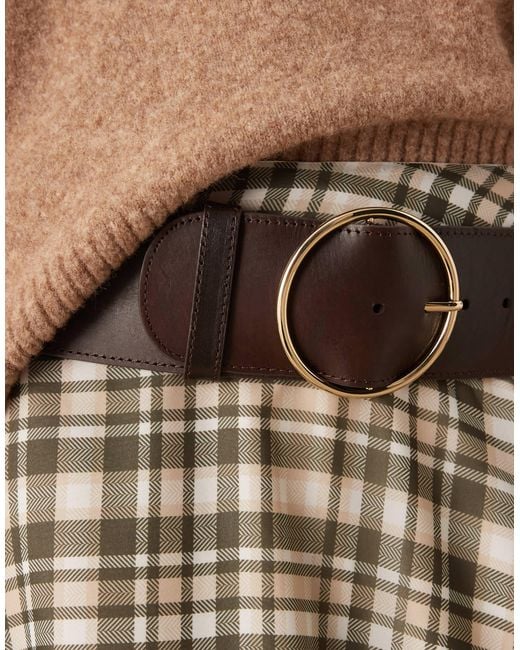 Mango Brown Leather Belt With Gold Hoop