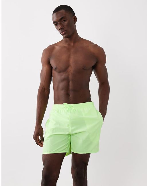 Speedo Green Essential 16" Watershort for men
