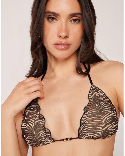 Calzedonia Natural Triangle Bikini Top Doll Zebra