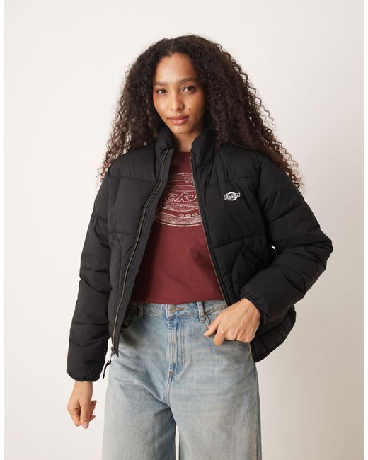 Summerdale - doudoune oversize Dickies en coloris Black