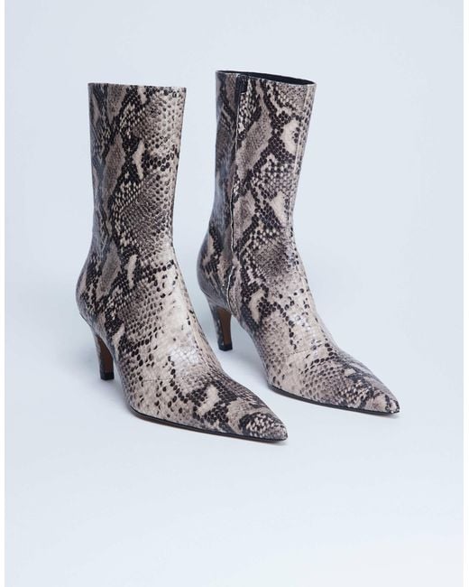 TOPSHOP Gray – neeve – ankle-boots aus hochwertigem leder mit schlangenprint und hohem absatz