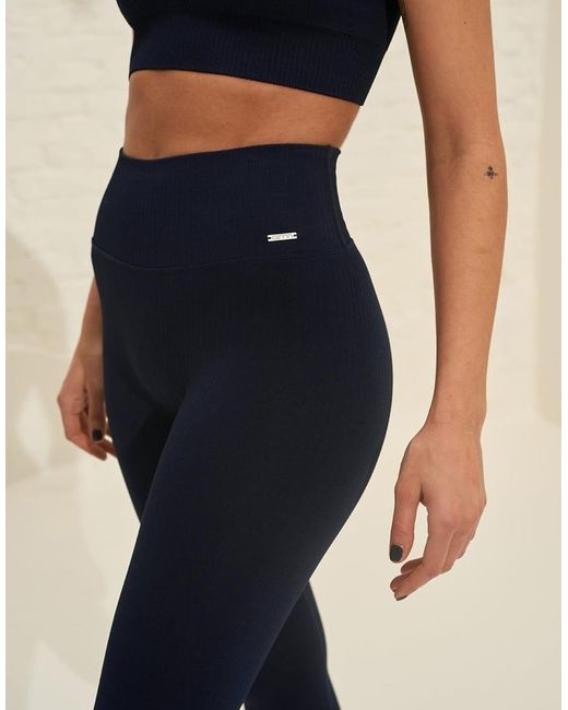 Aim'n Blue Ribbed Seamless Tights