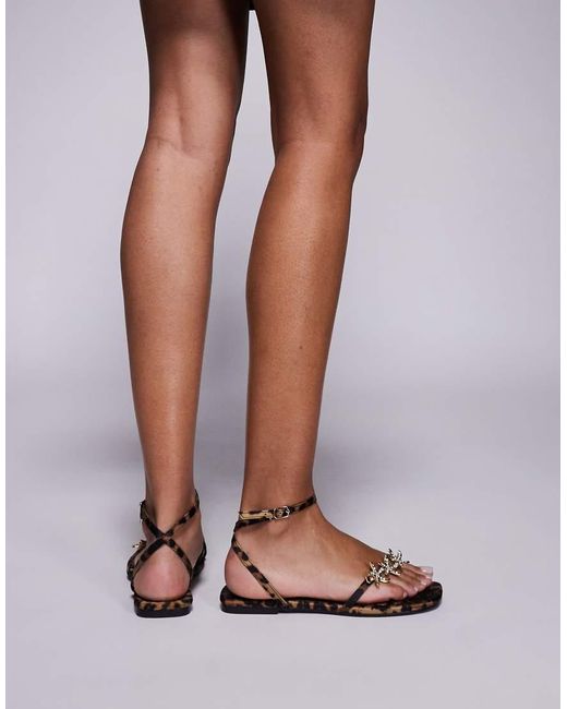 Lyrical di Public Desire in Multicolor