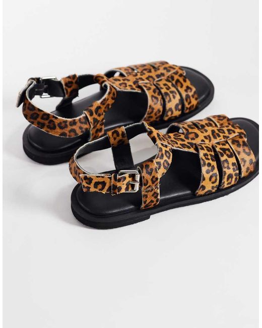 Walk London Brown Sophia Gladiator Sandal