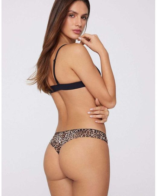 Tezenis Brown Printed Microfibre Brazilian Briefs