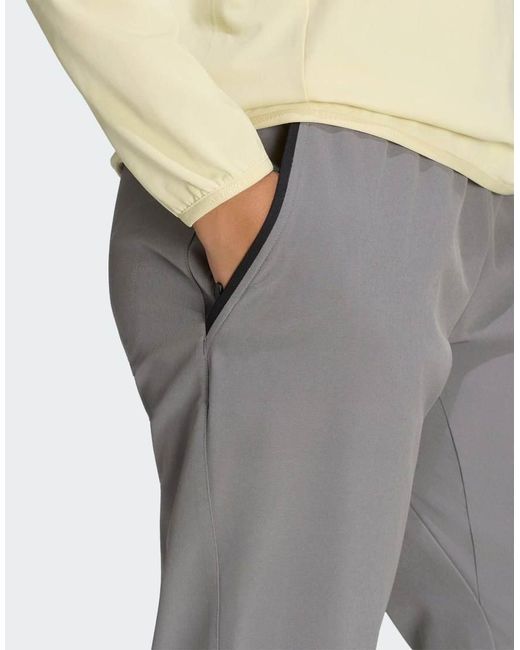 Adidas Originals Gray Terrex Multi Liteflex Pants