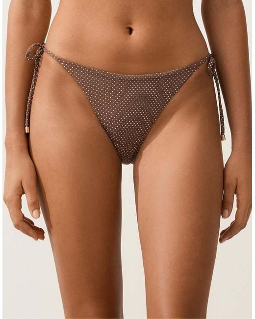 Oysho Brown Mini Polka Dot Medium-Coverage Bikini Briefs