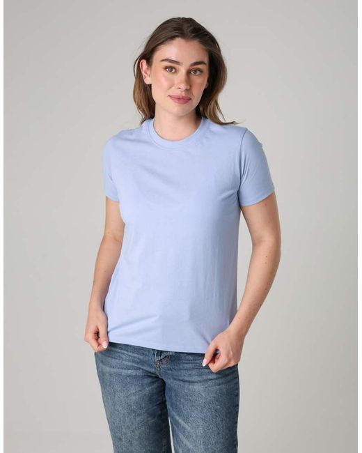French Connection Pink 3 Pack Cotton Crew Neck T-Shirts