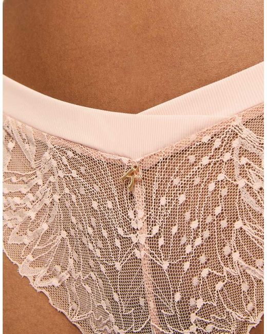 KBX Brown Louisa Thong