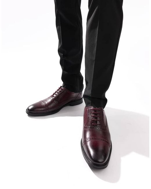 Base London Brown Ascot Toe Cap Oxford Shoe for men
