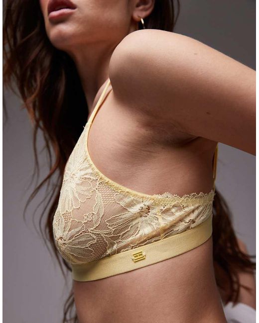 Reggiseno A Triangolo di Tommy Hilfiger in Brown