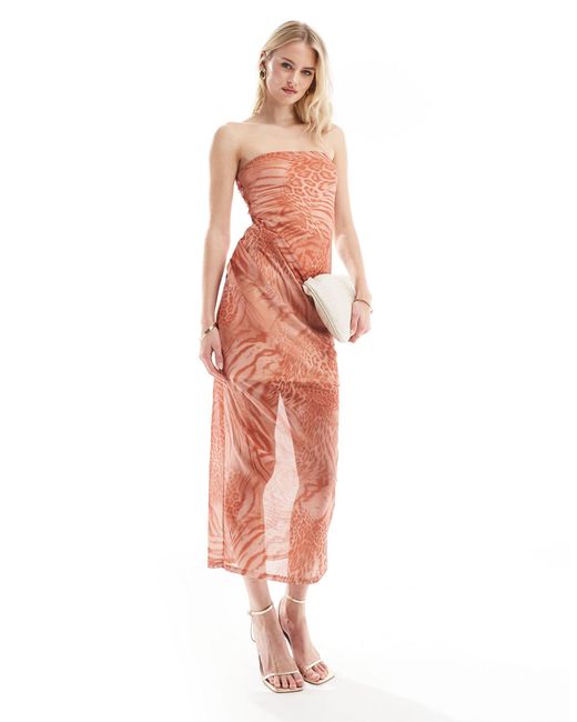 Asos design tall - robe bandeau mi-longue en tulle effet drapé à imprimé animal - orange ASOS en coloris Multicolor