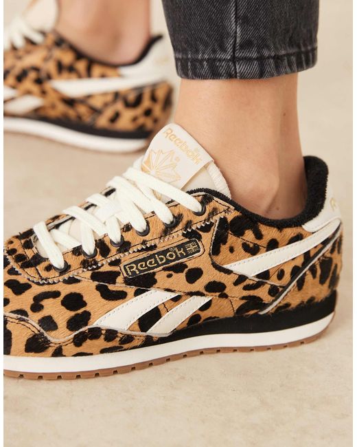 Reebok Classic Sneakers | Lyst