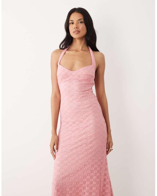 Bardot Mariko in het Pink