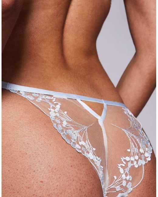 Bluebella Brown Bella Marisa Embroidered Sheer Briefs