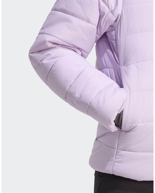 Adidas Originals Purple Terrex Multi Essentials Isolationsjacke