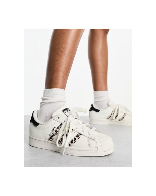 Superstar - sneakers sporco leopardato di Adidas Originals in White