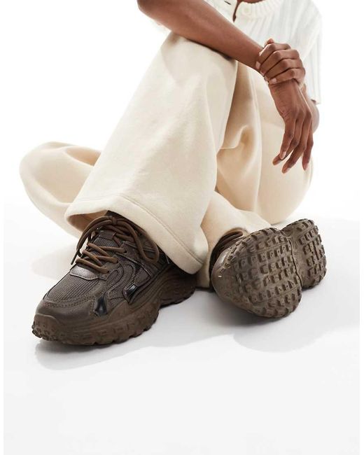 Wolf di SEQWL in Brown