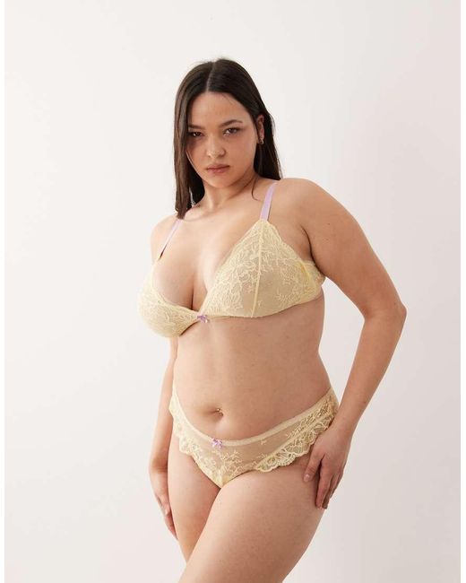 ASOS Brown Asos Design Curve Stevie Lace Triangle Bra With Contrast Trims