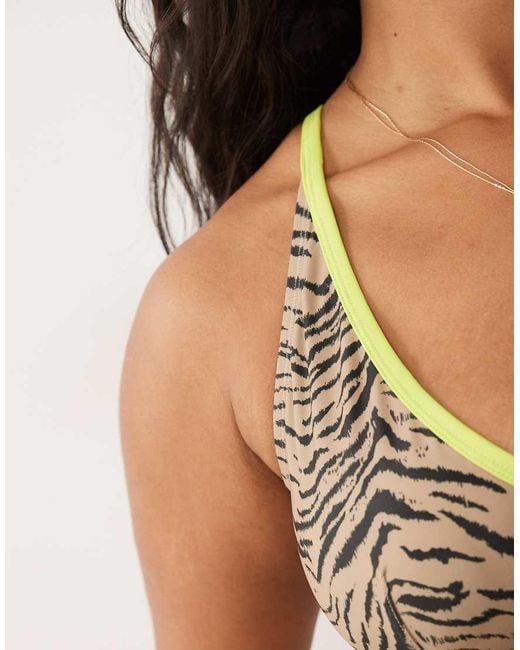 ASOS Brown Asos Design Curve Zaria Marina Del Ray Underwired Bikini Top With Contrast