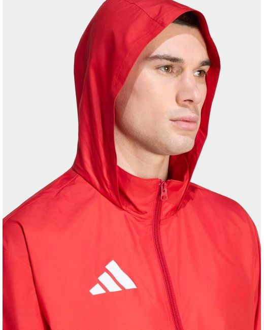 Adidas Originals Red Entrada 26 Multi Jacket for men