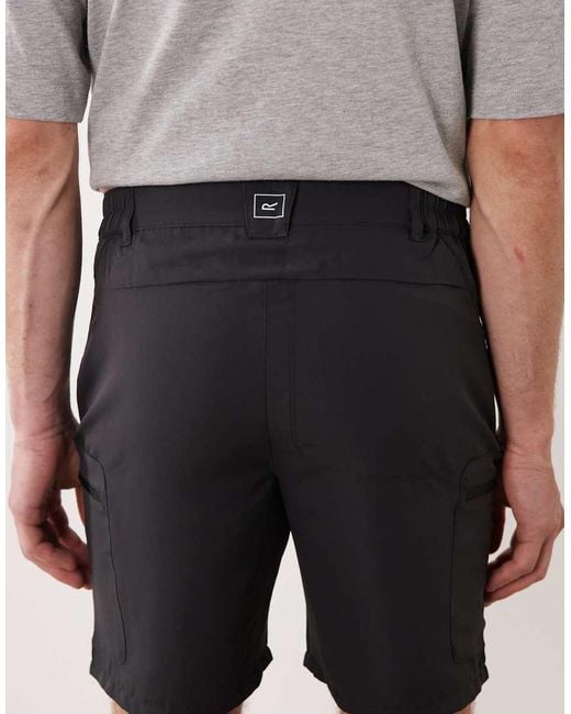 Regatta Gray Leesville Iii Walking Shorts for men