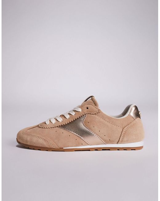 Steve Madden Brown – fan fav – sneaker