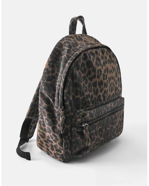 Pull&Bear Black – rucksack mit leopardenprint