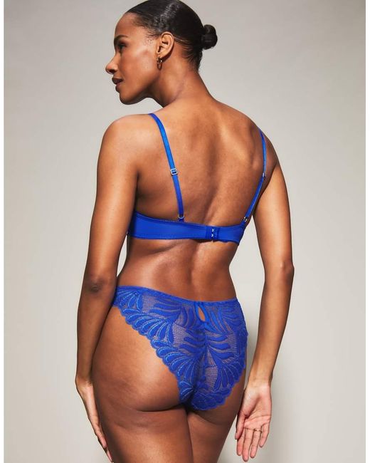 KBX Blue Knickerbox Olivia High Leg