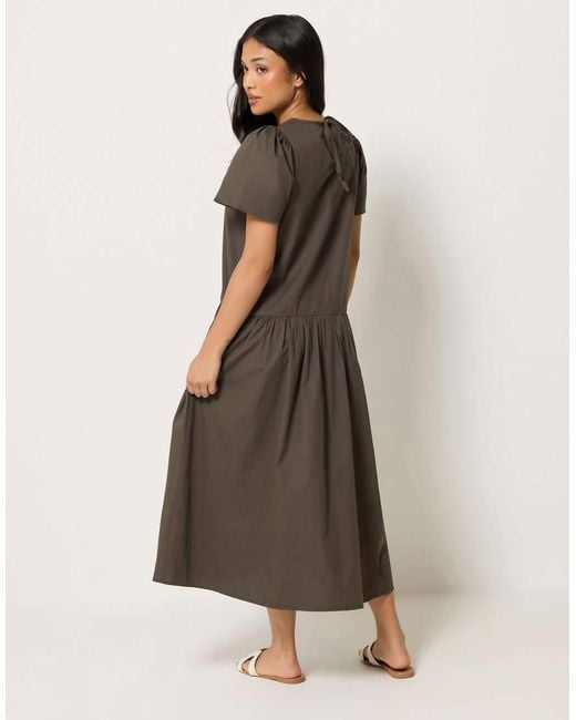PixieGirl Brown Petite Cotton Poplin Midi Dress