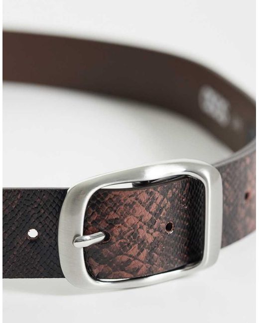 ASOS Brown Snakeprint Belt With Rounded Brushed Silver Buckle for men