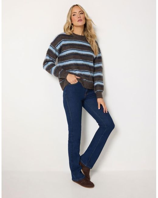 Long Tall Sally Blue Stripe Knit Jumper