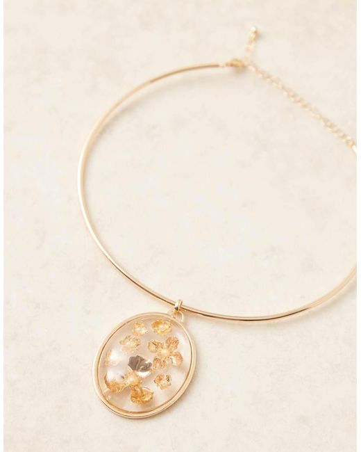 Collar Fino Rígido Con Detalle De Flores Encapsuladas De ASOS de color Brown
