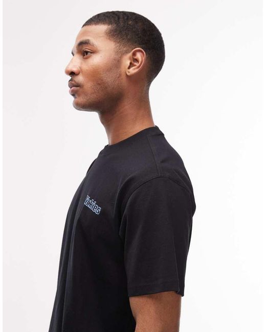 Dickies Black Fairlawn Backprint T-shirt for men