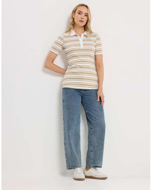Long Tall Sally White Stripe Polo Top