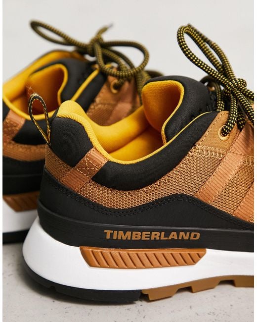 Zapatillas Timberland de hombre de color Natural
