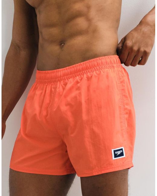 Speedo White Solid Retro 13" Volley Swim Short for men