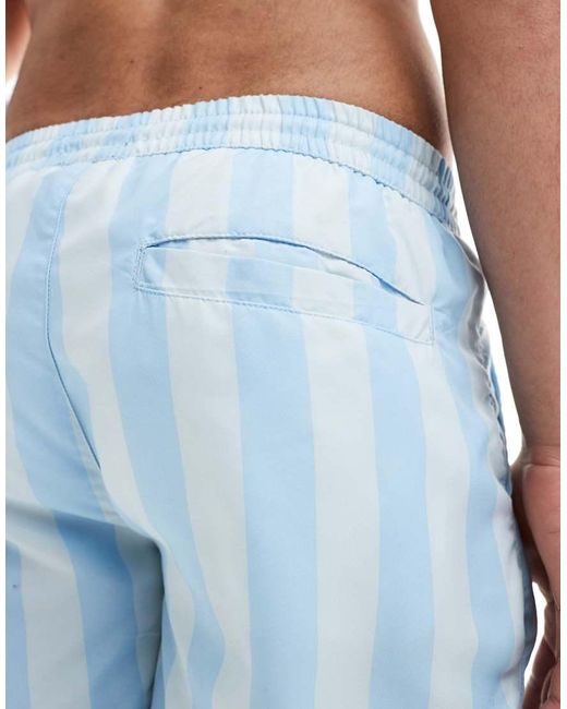 Aray Blue Stripe Print Swim Shorts for men