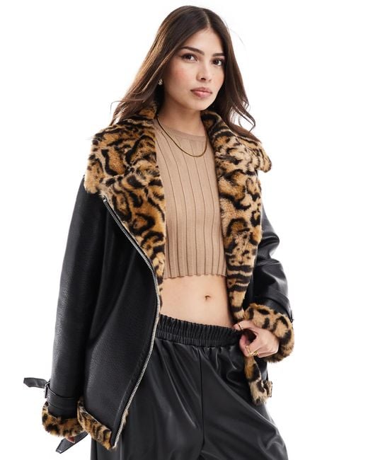 Miss Selfridge Black – pilotenjacke aus kunstleder mit kunstpelzbesatz mit leopardenmuster