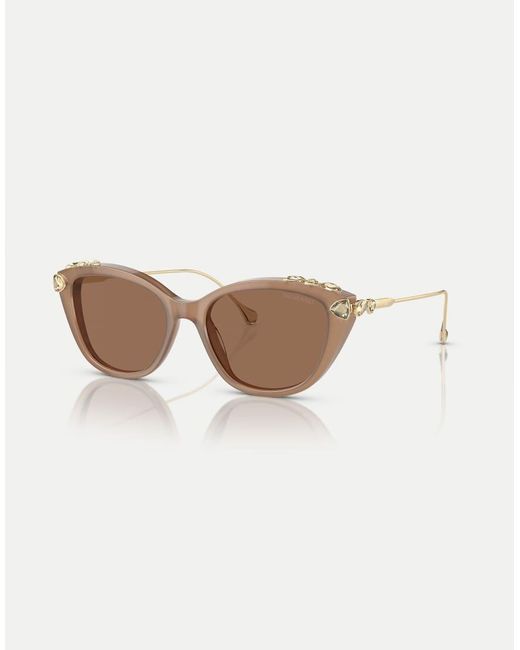 Swarovski Natural Sk6010 Cat Eye Sunglasses With Lens