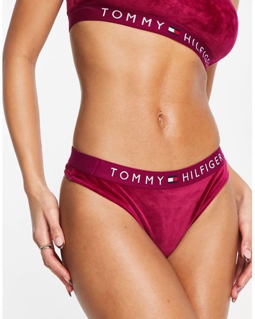 Tommy Hilfiger Purple Original Velour Thong