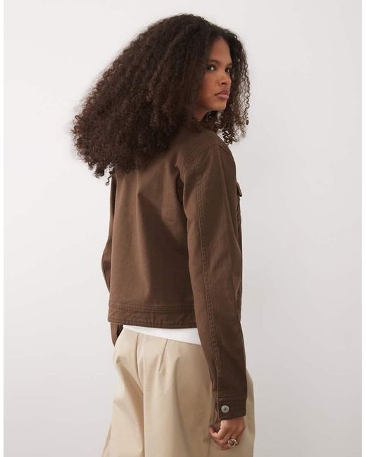 Threadbare Brown Denim Jacket