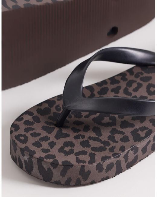 ASOS Brown Flavio Thongs