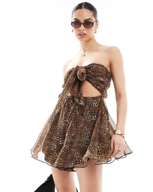 Miss Selfridge Strandplaysuit Van Chiffon Met Gestrikte Voorkant En Luipaardprint in het Brown