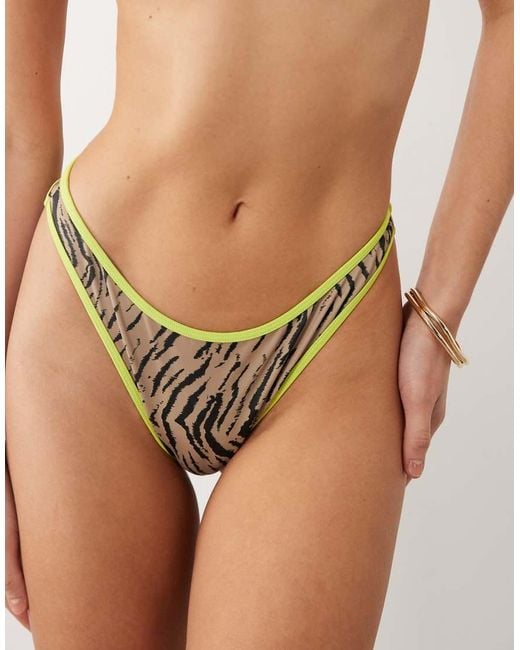 ASOS Brown Zaria Ibiza High Leg Brazilian Bikini Bottom With Contrast